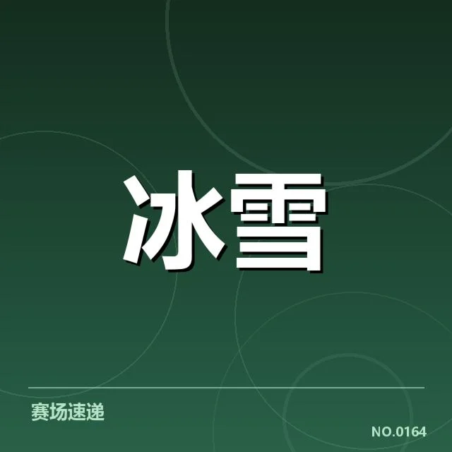 关键赛事成绩与队伍阵容稳定性